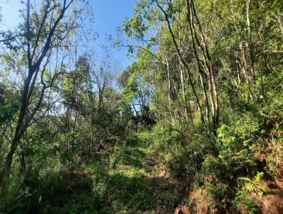 rea Rural para Venda, em Boa Vista do Sul, bairro Interior