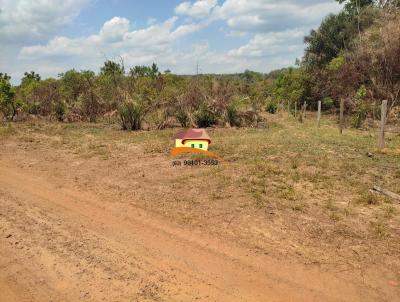 Fazenda para Venda, em Palmas, bairro Regio produtora consolidada