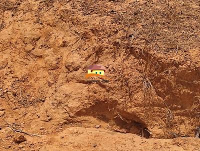 Fazenda para Venda, em Palmas, bairro Região produtora consolidada