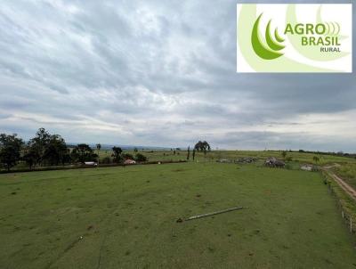 Fazenda para Venda, em Anhembi, bairro Zona Rural