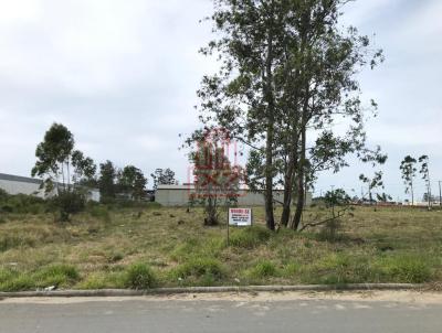 Terreno para Venda, em Ararangu, bairro Nova Divinia