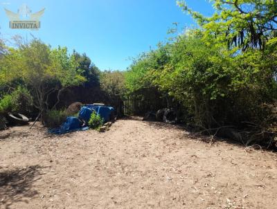 Terreno para Venda, em , bairro Parque das guas