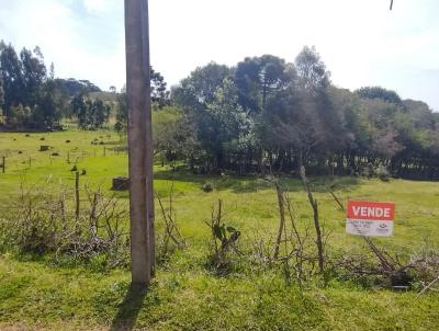 Terreno para Venda, em Vacaria, bairro Santa Cruz