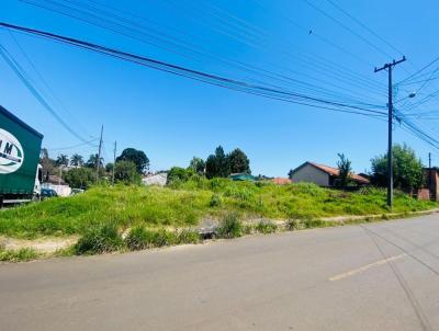 Terreno para Venda, em Ponta Grossa, bairro Uvaranas