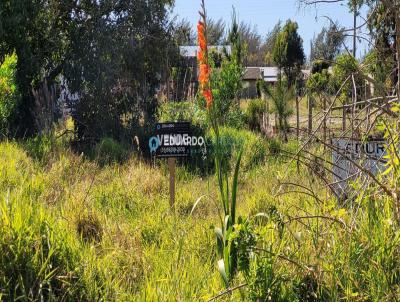 Terreno para Venda, em Capo da Canoa, bairro Curumim