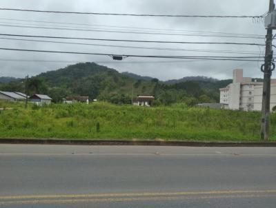 Terreno para Venda, em Blumenau, bairro Itoupava Central