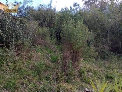 Terreno para Venda, em , bairro Jardins