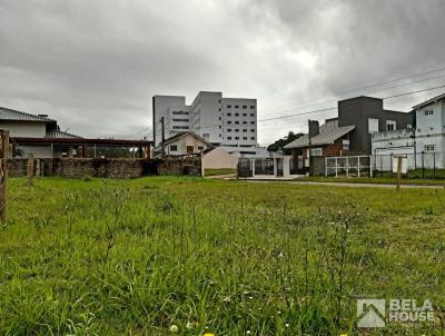 Terreno para Venda, em Osrio, bairro Caiu do Cu