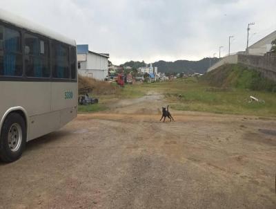 Terreno para Locao, em So Jos, bairro Serraria, 8 banheiros, 12 vagas