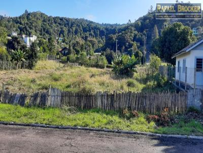 Terreno Urbano para Venda, em Trs Coroas, bairro Vila Nova