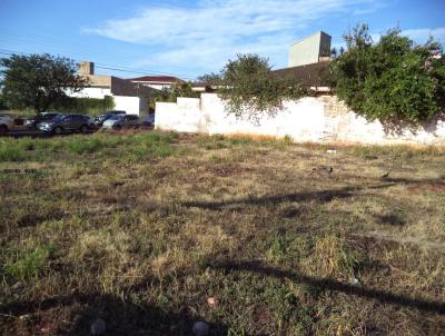 Terreno Comercial para Venda, em Ribeiro Preto, bairro Alto da Boa Vista