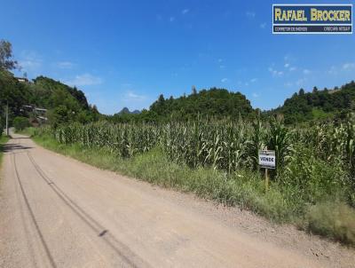 Terreno Urbano para Venda, em Trs Coroas, bairro Linha Caf Baixa