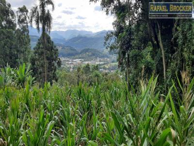 Stio para Venda, em Trs Coroas, bairro Sander