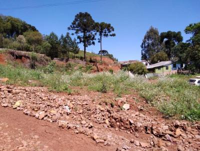 Terreno para Venda, em Palmas, bairro Lagoo