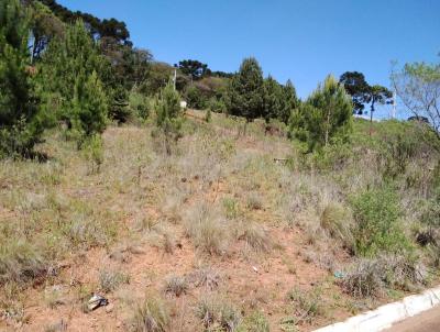 Terreno para Venda, em Palmas, bairro Lagoo