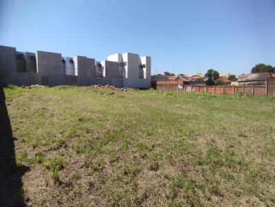 Terreno para Venda, em , bairro Vila Prudenciana