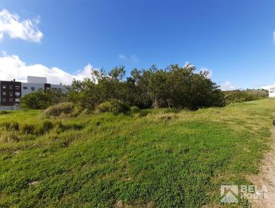 Terreno para Venda, em Osrio, bairro Caiu do Cu