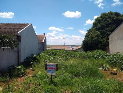 Terreno para Venda, em Ubirat, bairro Jardim Petrica