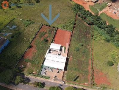 Terreno para Venda, em Ponta Grossa, bairro Oficinas