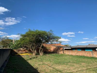 Terreno para Venda, em Gravata, bairro Castelo Branco