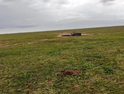 Fazenda para Venda, em Caiu, bairro Are Rural