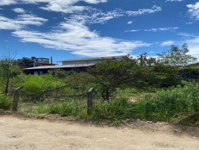 Terreno para Venda, em Florianpolis, bairro So Joo do Rio Vermelho