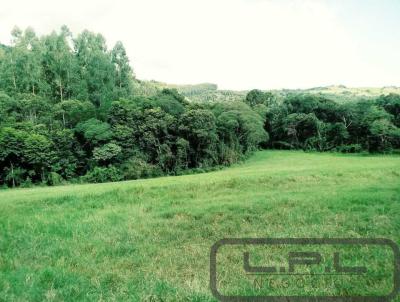 Chcara para Venda, em Virmond, bairro .