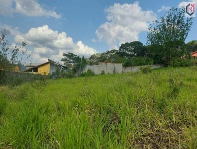 Terreno para Venda, em Tuiuti, bairro Centro
