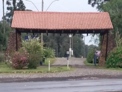 Terreno para Venda, em So Francisco de Paula, bairro Colinas