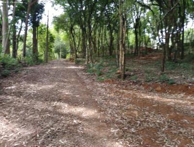 rea para Venda, em Marau, bairro Borges de Medeiros