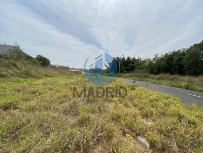 Terreno para Venda, em Monte Alto, bairro Jardim Bela Vista