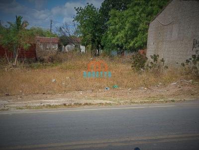 Terreno para Venda, em Governador Dix-Sept Rosado, bairro Centro