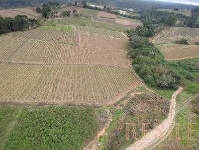 Stio para Venda, em So Miguel Arcanjo, bairro ABAITINGA