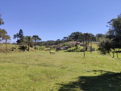 Chcara para Venda, em Campo Alegre, bairro Laranjeiras, 2 dormitrios, 2 banheiros