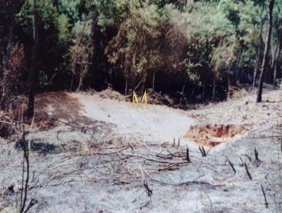 Terreno para Venda, em Cajamar, bairro Ponunduva