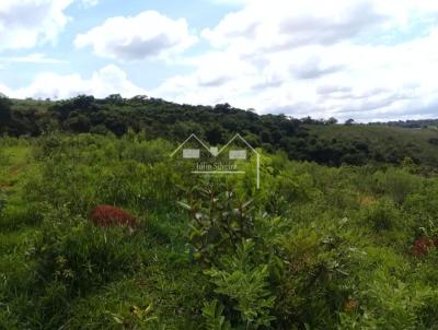 Fazenda para Venda, em So Tiago, bairro Zona Rural