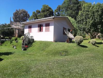 Chcara para Venda, em So Jos do Cedro, bairro LINHA SANTO INACIO