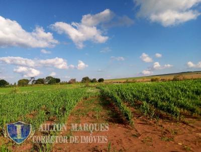 Stio para Venda, em Avar, bairro RURAL