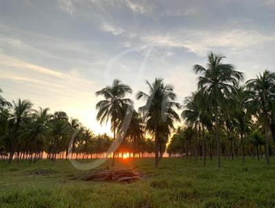 Fazenda para Venda, em Cardoso, bairro FAZENDA PARA VENDA CARDOSO