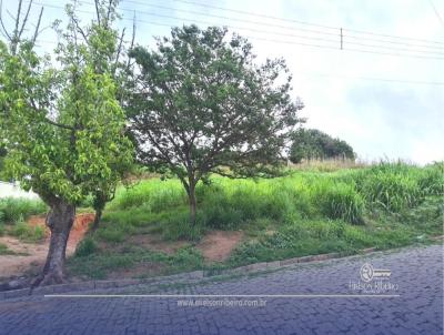 Lote para Venda, em Campo Belo, bairro Cruzeiro