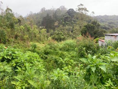 Terreno Residencial para Venda, em , bairro Palmeiras