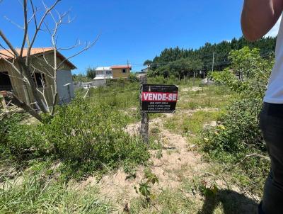 Terreno para Venda, em Florianpolis, bairro So Joo do Rio Vermelho