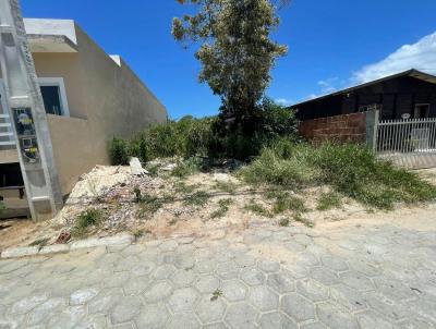 Terreno para Venda, em Florianpolis, bairro So Joo do Rio Vermelho