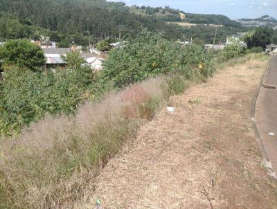 Terreno para Venda, em Concrdia, bairro Sintrial