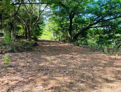 Chcara para Venda, em Marechal Cndido Rondon, bairro LINHA GUARANI