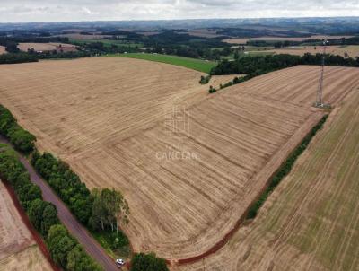 rea Rural para Venda, em Santa Rosa, bairro ERS 344