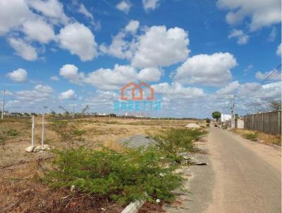 Terreno para Venda, em Mossor, bairro Rinco