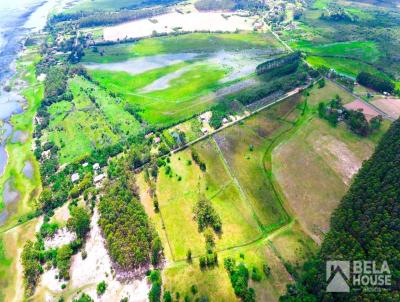 rea Rural para Venda, em Osrio, bairro Palmital