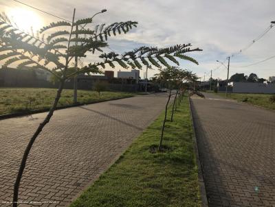 Terreno para Venda, em Taquara, bairro Jardim do Prado