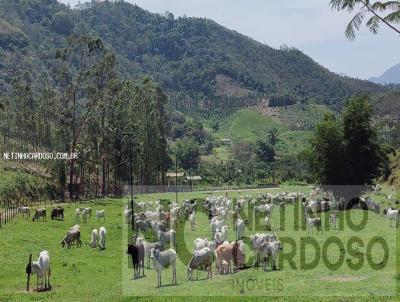 Fazenda para Venda, em Rio Bonito, bairro CENTRO